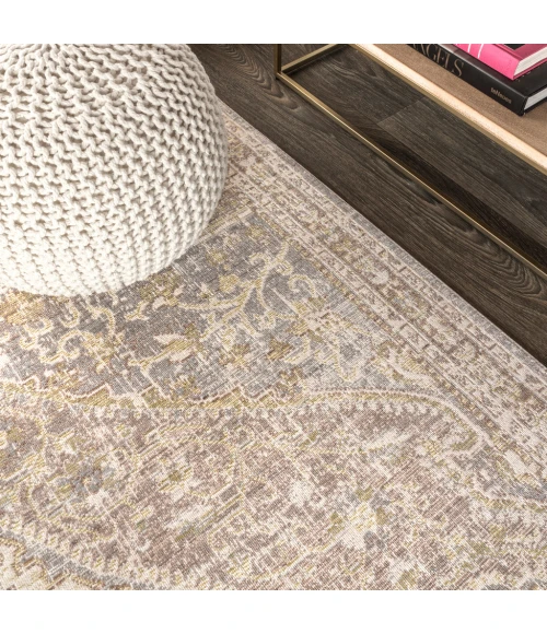 Petras Modern Ornate Medallion Gray/Brown 4 ft. x 6 ft. Area Rug