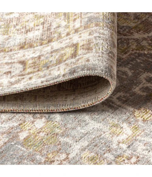 Petras Modern Ornate Medallion Gray/Brown 4 ft. x 6 ft. Area Rug