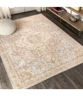 Petras Modern Ornate Medallion Gray/Brown 4 ft. x 6 ft. Area Rug