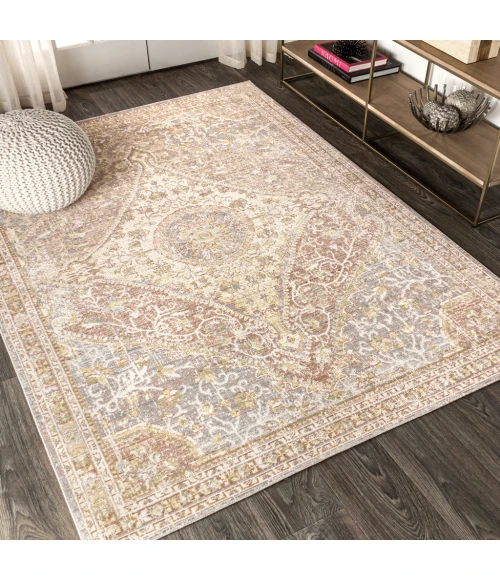 Petras Modern Ornate Medallion Gray/Brown 4 ft. x 6 ft. Area Rug