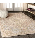 Petras Modern Ornate Medallion Gray/Brown 4 ft. x 6 ft. Area Rug