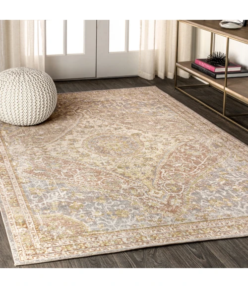 Petras Modern Ornate Medallion Gray/Brown 4 ft. x 6 ft. Area Rug