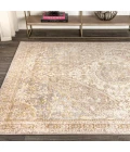 Petras Modern Ornate Medallion Gray/Brown 4 ft. x 6 ft. Area Rug