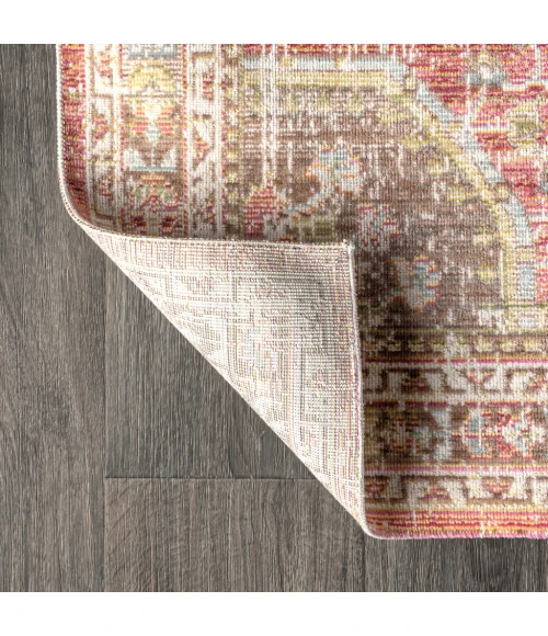 Petras Modern Ornate Medallion Brown/Pink 8 ft. x 10 ft. Area Rug