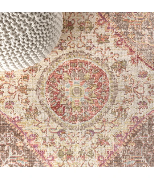 Petras Modern Ornate Medallion Brown/Pink 8 ft. x 10 ft. Area Rug