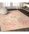 Petras Modern Ornate Medallion Brown/Pink 8 ft. x 10 ft. Area Rug