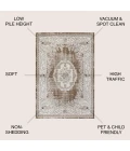 Jonathan Y MODERN PERSIAN Brown MDP401E 3ft. X 5ft. Rect. Rug
