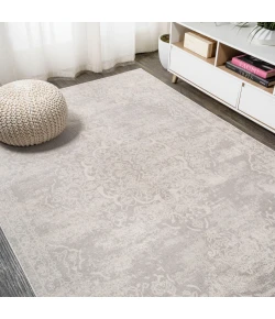 Jonathany Modern Persian MDP403C Gray/Ivory Area Rug 3 ft. X 5 ft. Rectangle