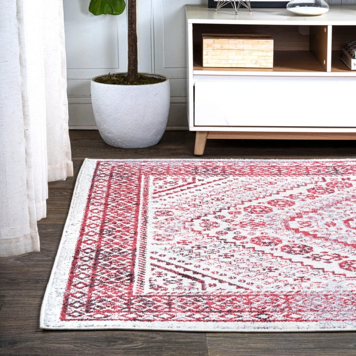 Boho Cottage Medallion Red/Ivory 4 ft. x 6 ft. Area Rug