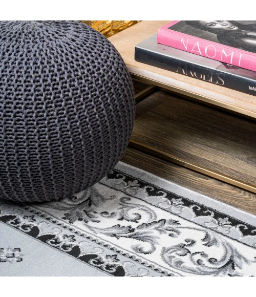 Acanthus French Border Light Gray/Cream 8 ft. x 10 ft. Area Rug