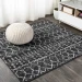 Jonathany Moroccan Hype MOH101D Black/Ivory Area Rug 5 ft. X 5 ft. Square