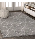 Alia Moroccan Beni Souk Gray/Cream 4 ft. x 6 ft. Area Rug