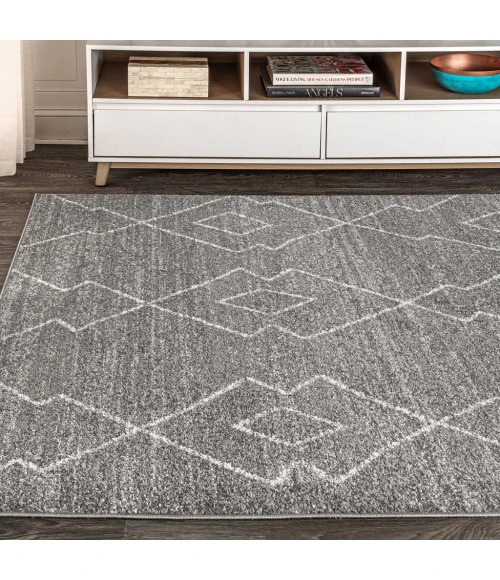 Alia Moroccan Beni Souk Gray/Cream 4 ft. x 6 ft. Area Rug