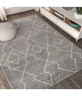 Alia Moroccan Beni Souk Gray/Cream 4 ft. x 6 ft. Area Rug