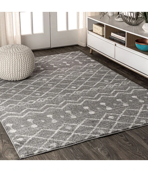Aksil Moroccan Beni Souk Gray/Cream 3 ft. x 5 ft. Area Rug