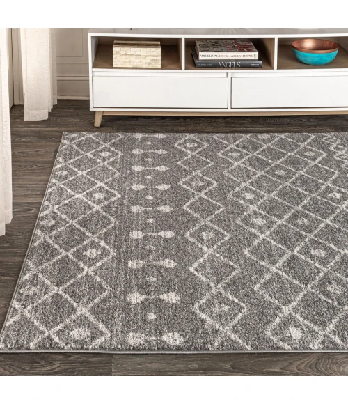 Aksil Moroccan Beni Souk Gray/Cream 3 ft. x 5 ft. Area Rug