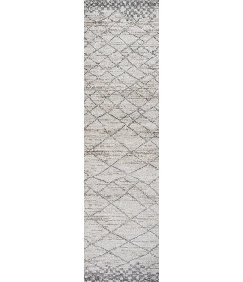 Asilah Moroccan Modern Diamond Light Gray 2 ft. x 8 ft. Runner Rug