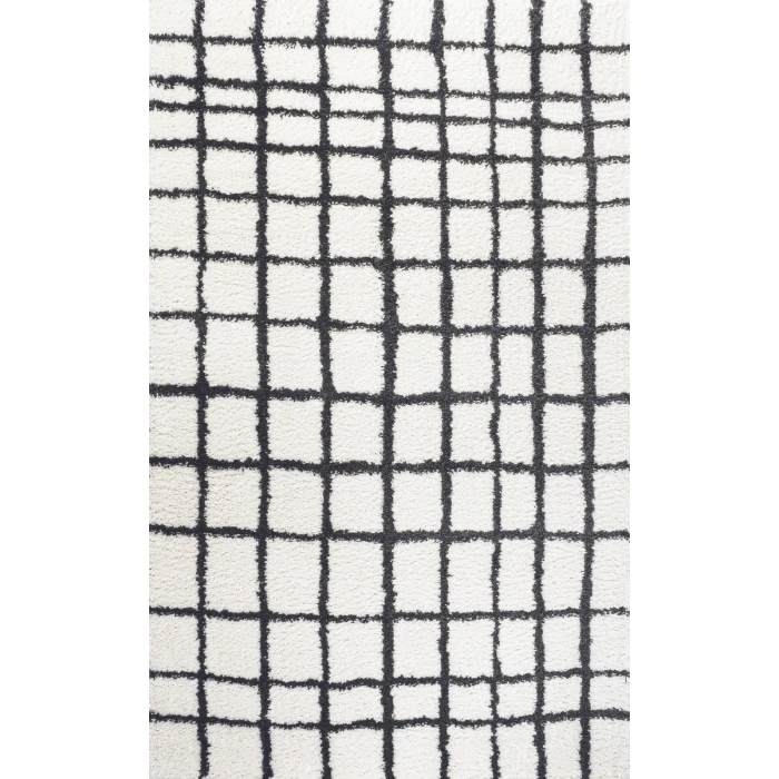 Arenal Geometric Grid Shag White/Gray 4 ft. x 6 ft. Area Rug