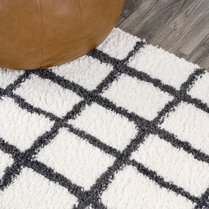 Arenal Geometric Grid Shag White/Gray 4 ft. x 6 ft. Area Rug