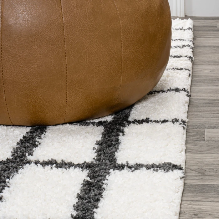 Arenal Geometric Grid Shag White/Gray 4 ft. x 6 ft. Area Rug