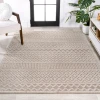 Jonathany South Beach SBH109C Beige/Gray Area Rug 4 ft. X 6 ft. Rectangle