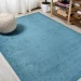 Jonathany Supersoft SEU100H Turquoise Area Rug 4 ft. X 6 ft. Rectangle