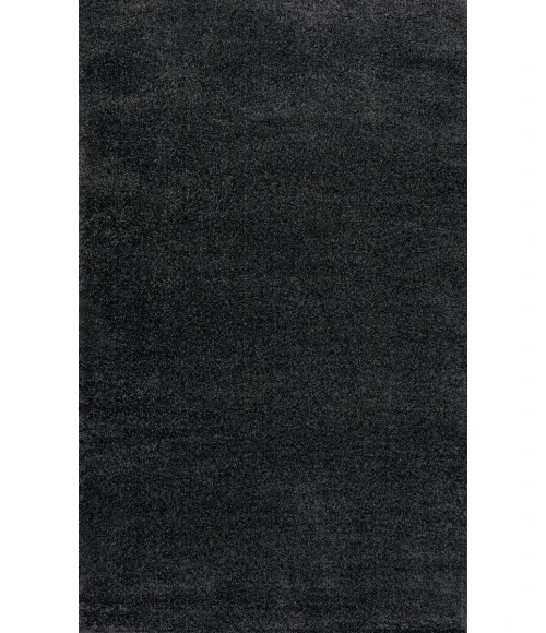Haze Solid Low-Pile Black 5 ft. x 8 ft. Area Rug