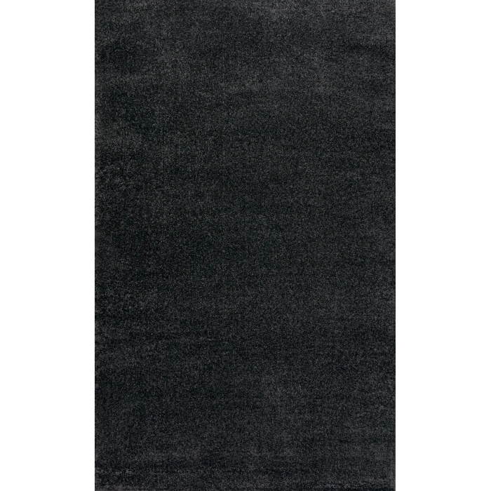 Haze Solid Low-Pile Black 5 ft. x 8 ft. Area Rug