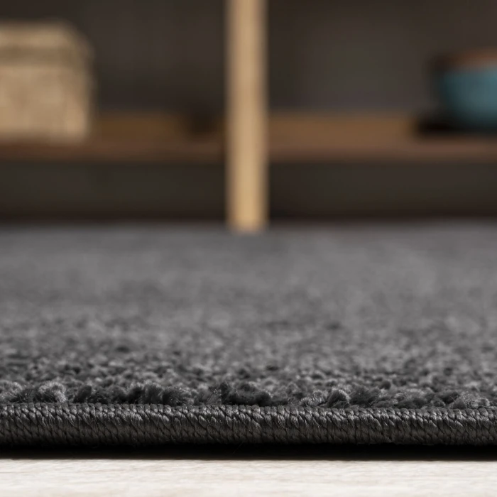 Haze Solid Low-Pile Black 6 ft. x 9 ft. Oval Area Rug