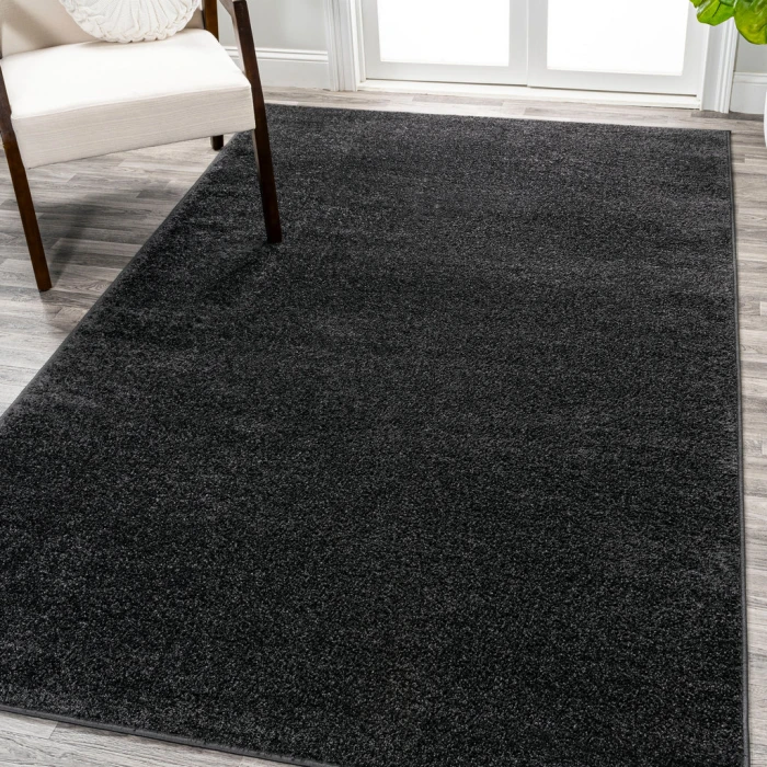 Haze Solid Low-Pile Black 5 ft. x 8 ft. Area Rug