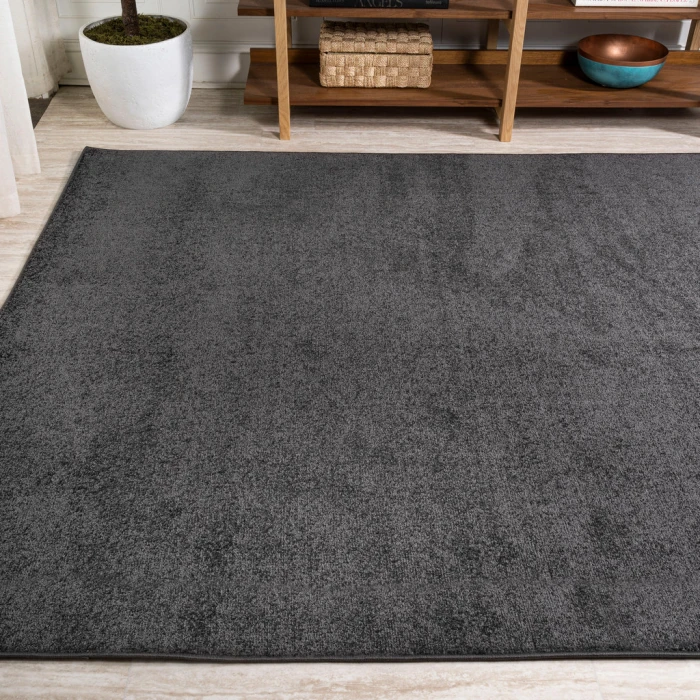 Haze Solid Low-Pile Black 5 ft. x 8 ft. Area Rug