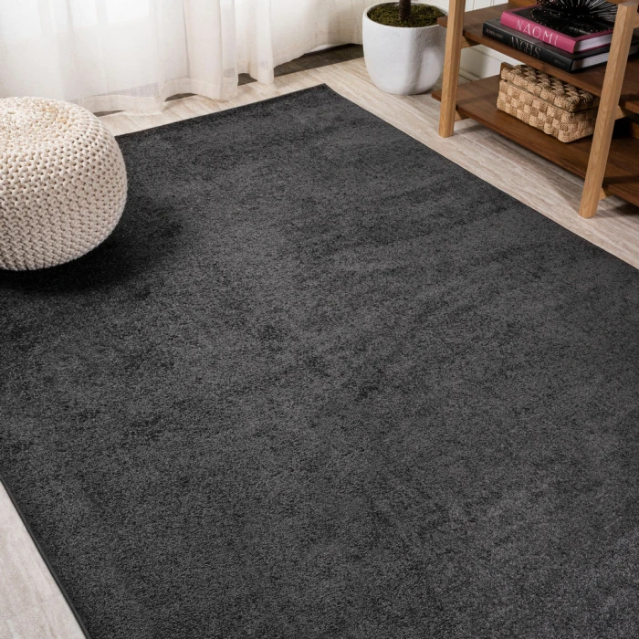 Haze Solid Low-Pile Black 5 ft. x 8 ft. Area Rug