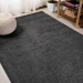 Jonathany Supersoft SEU100I Black Area Rug 4 ft. X 6 ft. Rectangle