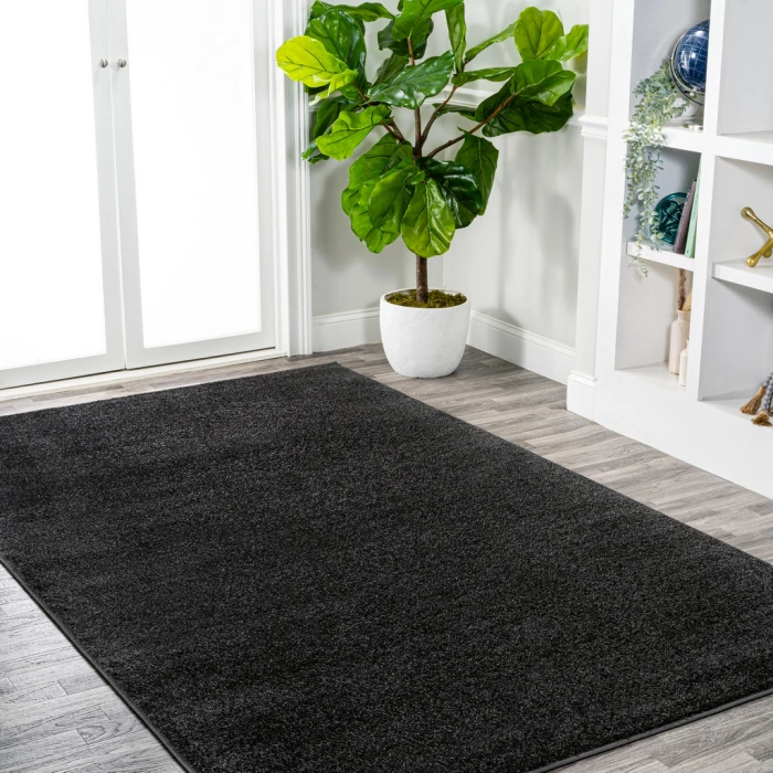Haze Solid Low-Pile Black 5 ft. x 8 ft. Area Rug