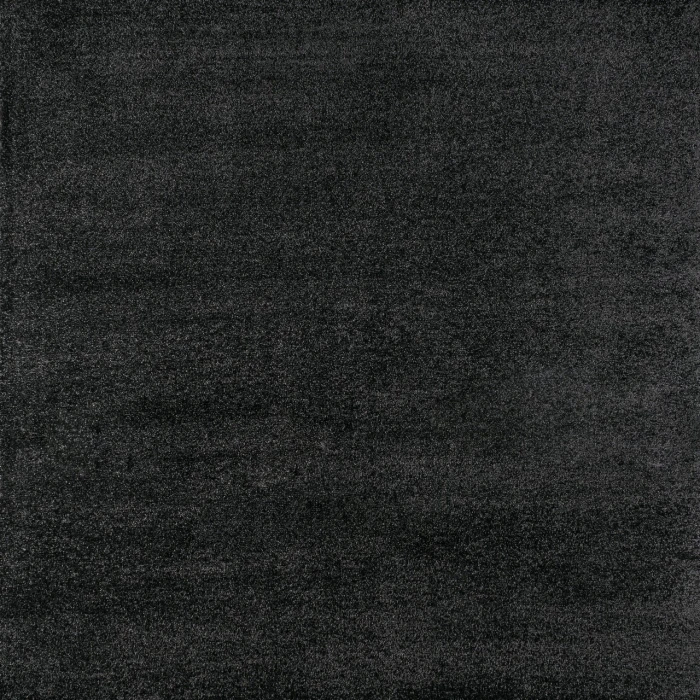 Haze Solid Low-Pile Black 5' Square Area Rug