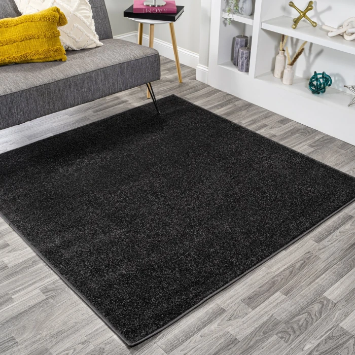Haze Solid Low-Pile Black 5' Square Area Rug