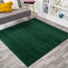 Jonathany Supersoft SEU100L Emerald Area Rug 6 ft. 2 in. X 6 ft. 2 in. Square