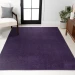 Jonathany Supersoft SEU100N Purple Area Rug 3 ft. X 5 ft. Rectangle