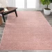 Jonathany Supersoft SEU100P Pink Area Rug 3 ft. X 5 ft. Rectangle