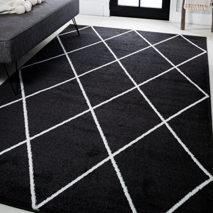 Cole Minimalist Diamond Trellis Black/White 4 ft. x 6 ft. Area Rug