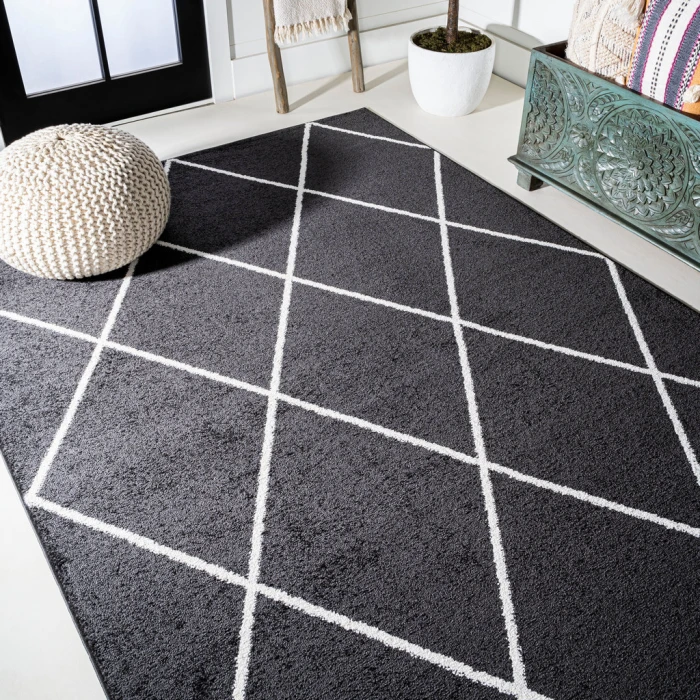 Cole Minimalist Diamond Trellis Black/White 4 ft. x 6 ft. Area Rug