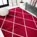 Jonathany Supersoft SEU102I Red/White Area Rug 5 ft. X 8 ft. Rectangle
