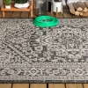 Jonathany Santa Monica SMB101D Gray/Black Area Rug 3 ft. 11 in. X 6 ft. Rectangle