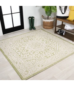 Jonathany Santa Monica SMB101E Green/Cream Area Rug 5 ft. 3 in. X 5 ft. 3 in. Square