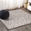 Jonathany Santa Monica SMB107C Taupe/Espresso Area Rug 5 ft. 3 in. X 5 ft. 3 in. Square