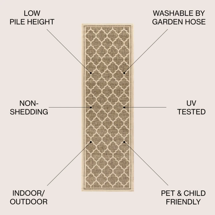 Jonathan Y SANTA MONICA Brown SMB109A 2ft.-2in. X 20ft. Rect. Rug