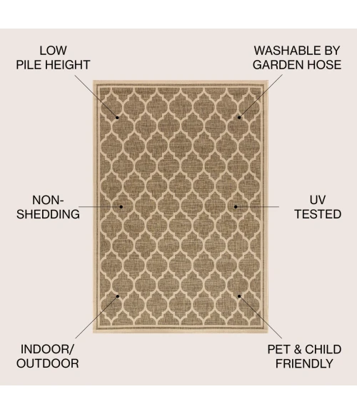 Jonathan Y SANTA MONICA Brown SMB109B 6ft. X 9ft. Rect. Rug