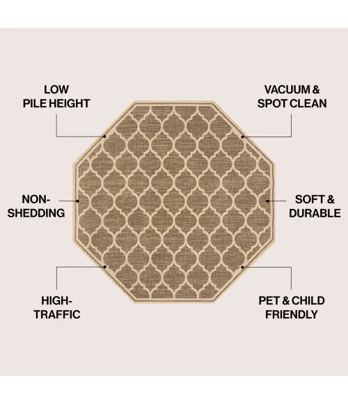 Jonathan Y SANTA MONICA Brown SMB109A 5ft.-3in. Octagon Rug