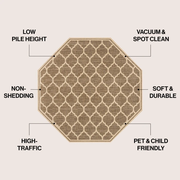Jonathan Y SANTA MONICA Brown SMB109A 5ft.-3in. Octagon Rug