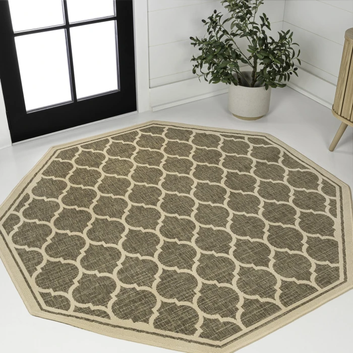 Jonathan Y SANTA MONICA Brown SMB109A 5ft.-3in. Octagon Rug